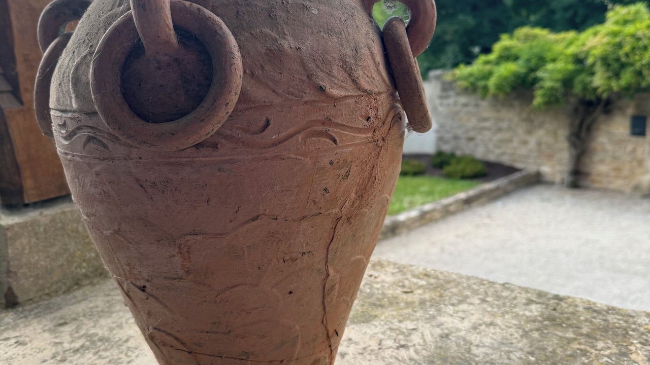 Photo of Others in Dracy-le-Fort