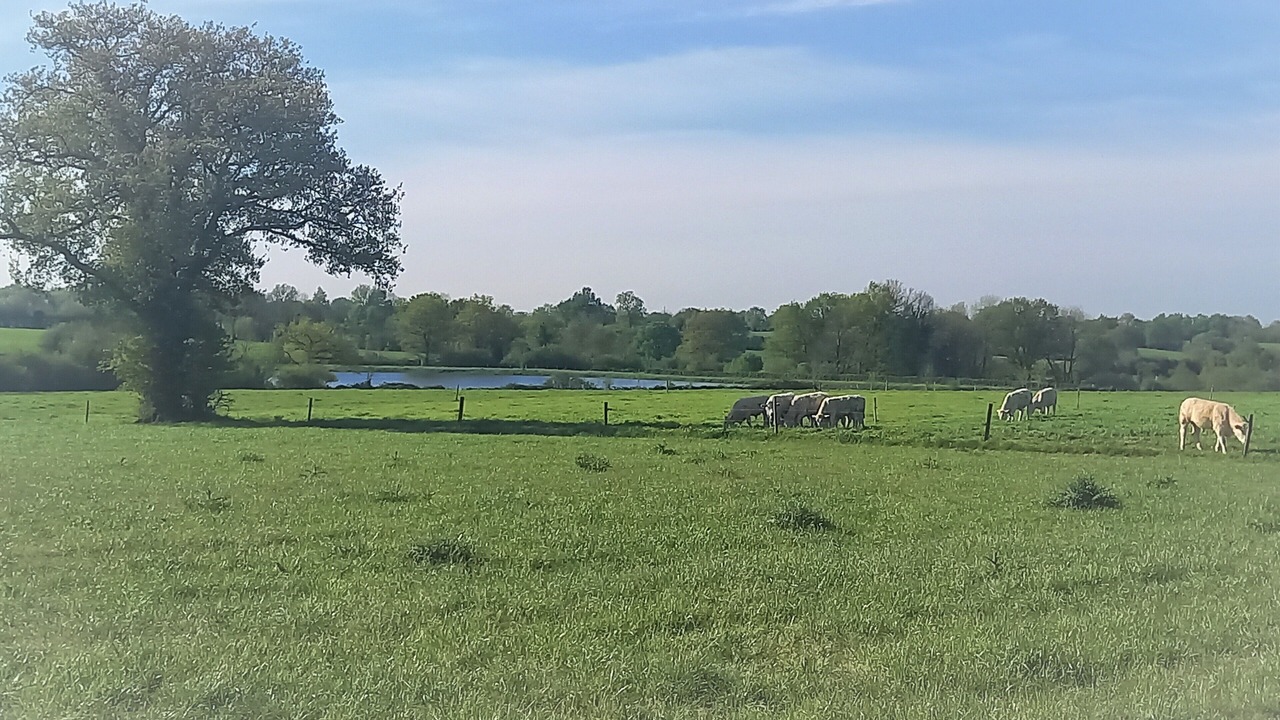 Photo of Others in Le Champ-Saint-Pere