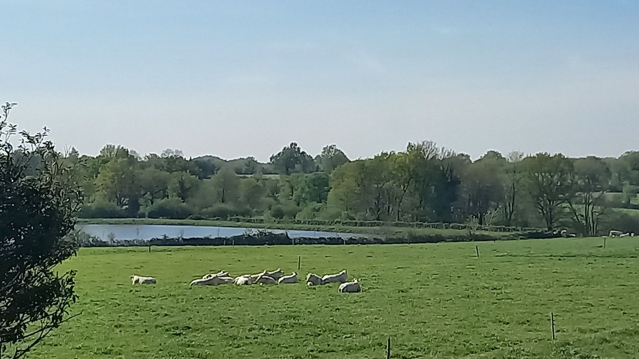 Photo of Others in Le Champ-Saint-Pere