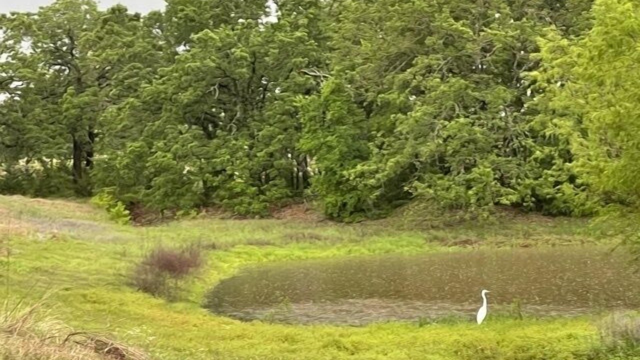 Photo of Others in Hico