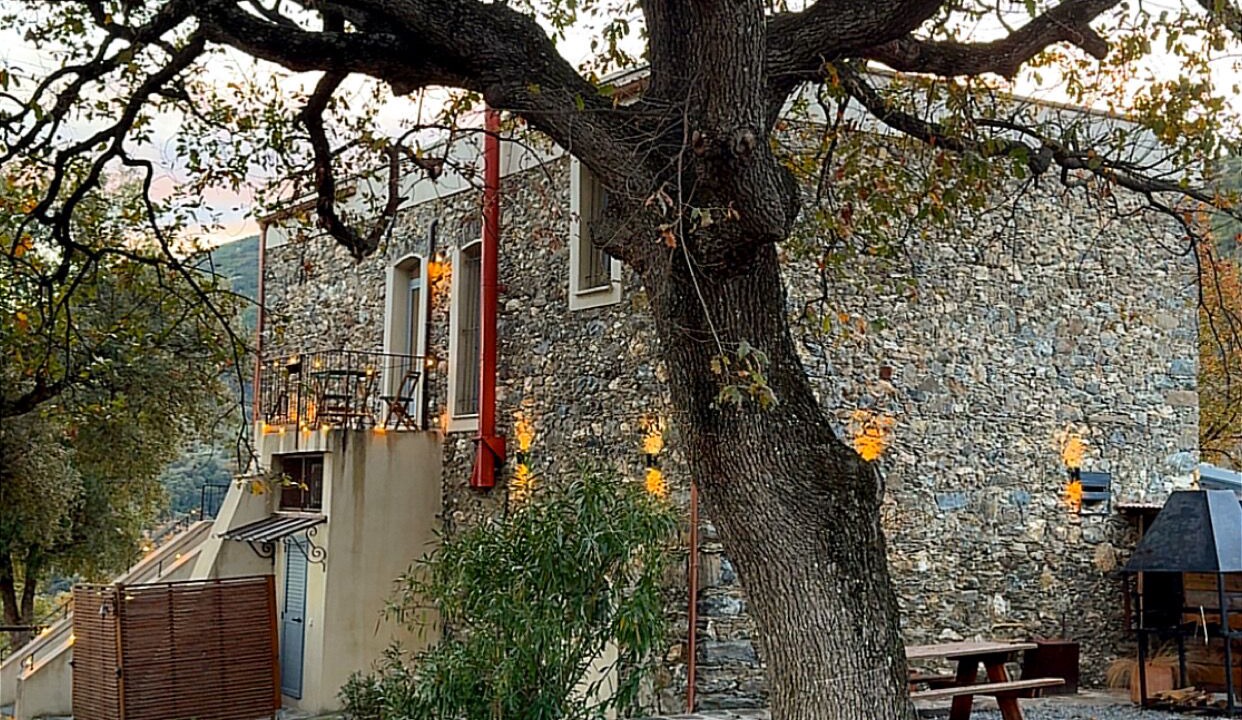 Photo of Outdoor in San-Giuliano