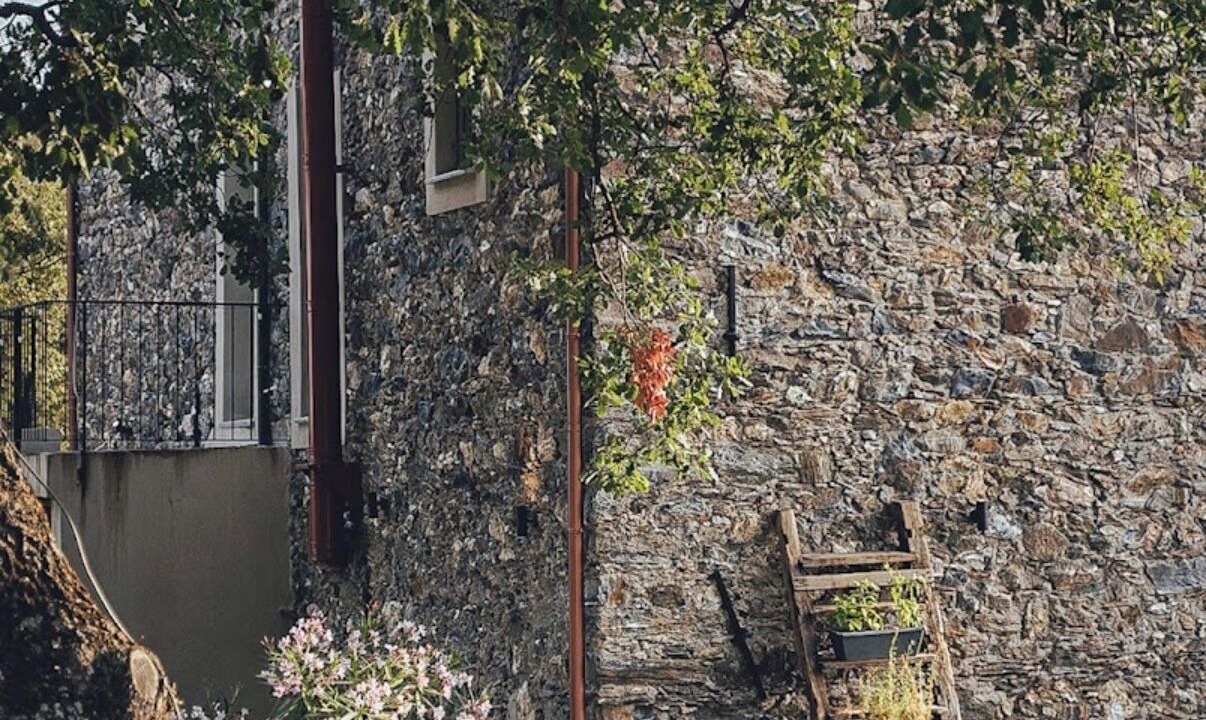 Photo of Outdoor in San-Giuliano