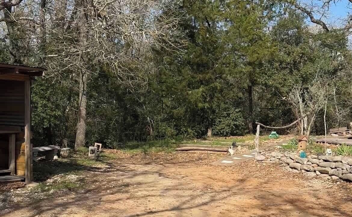 Photo of Others in Cedar Creek