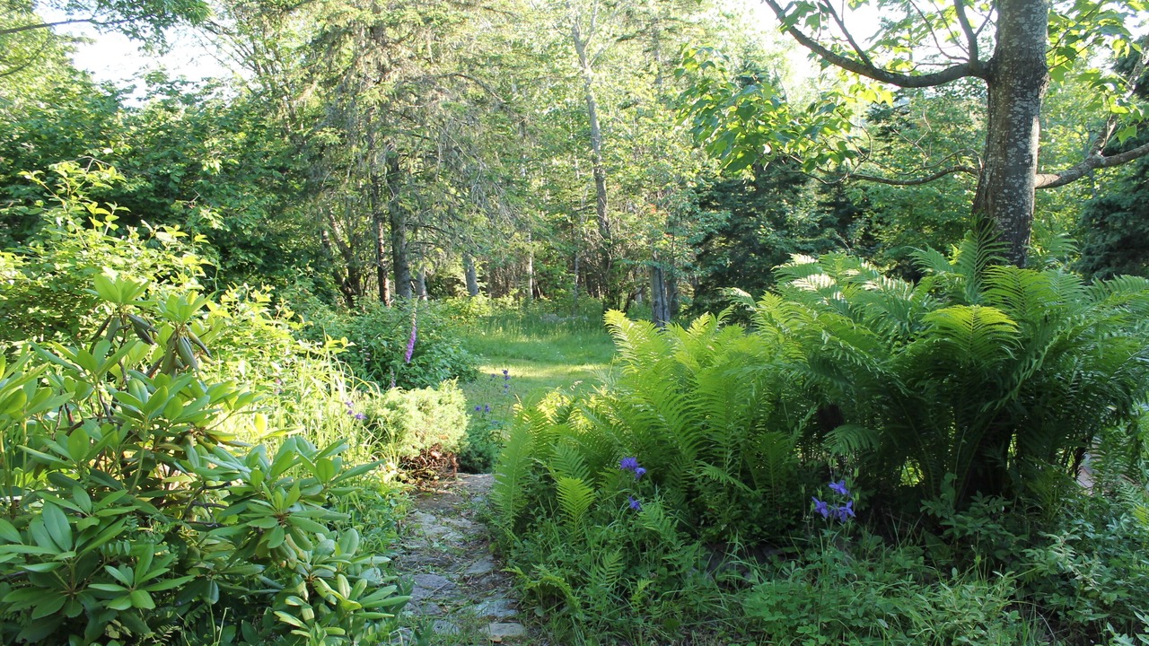 Photo of Outdoor in Saint-Joseph-de-la-Rive