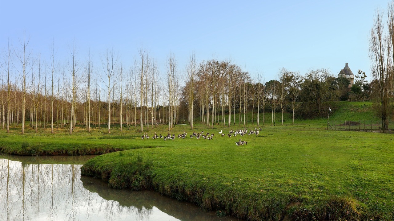 Photo of Others in L'Hermenault