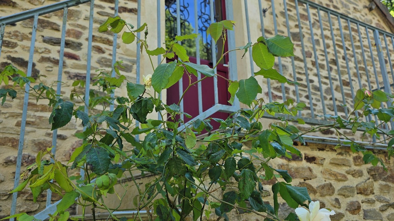 Photo of Outdoor in La Coquille