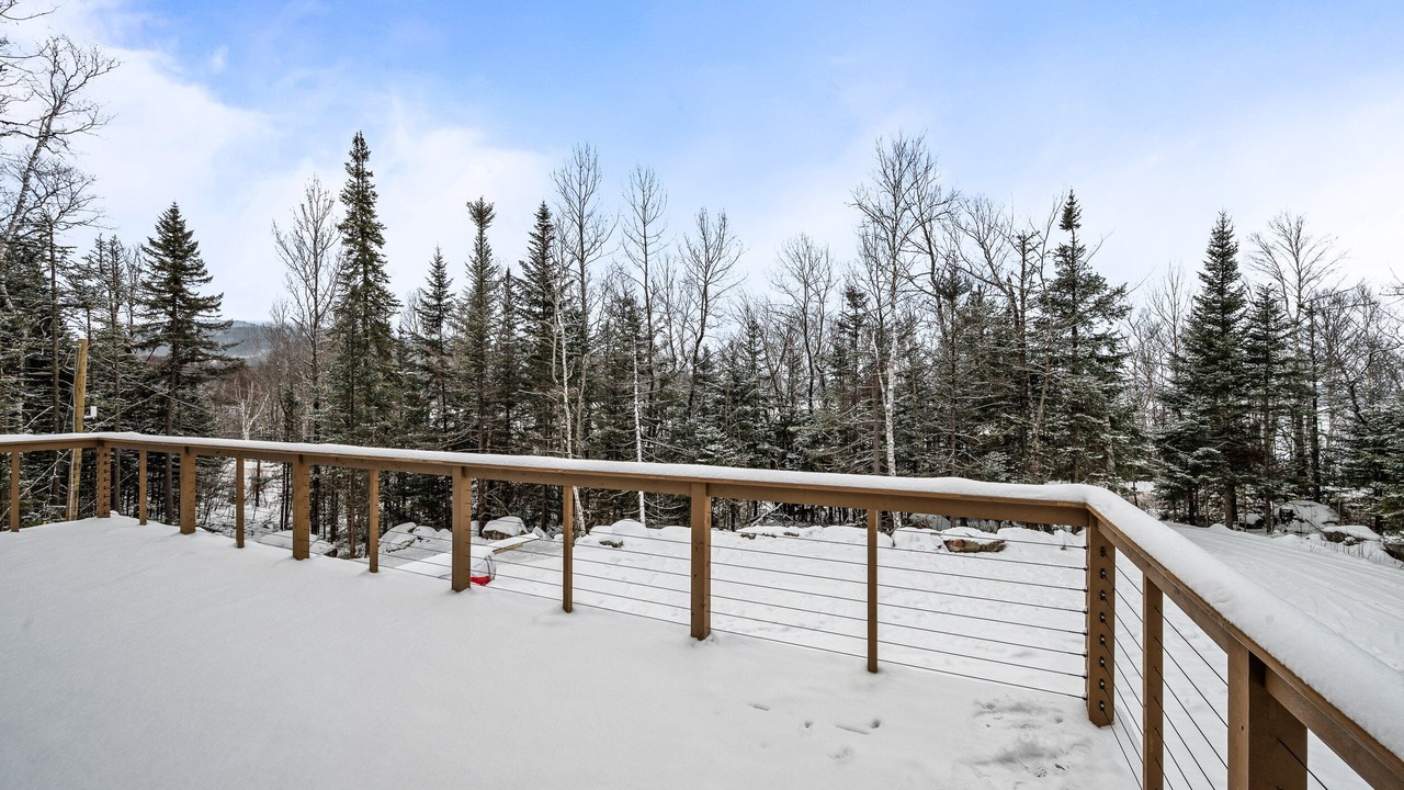 Photo of Others in Rangeley Plantation
