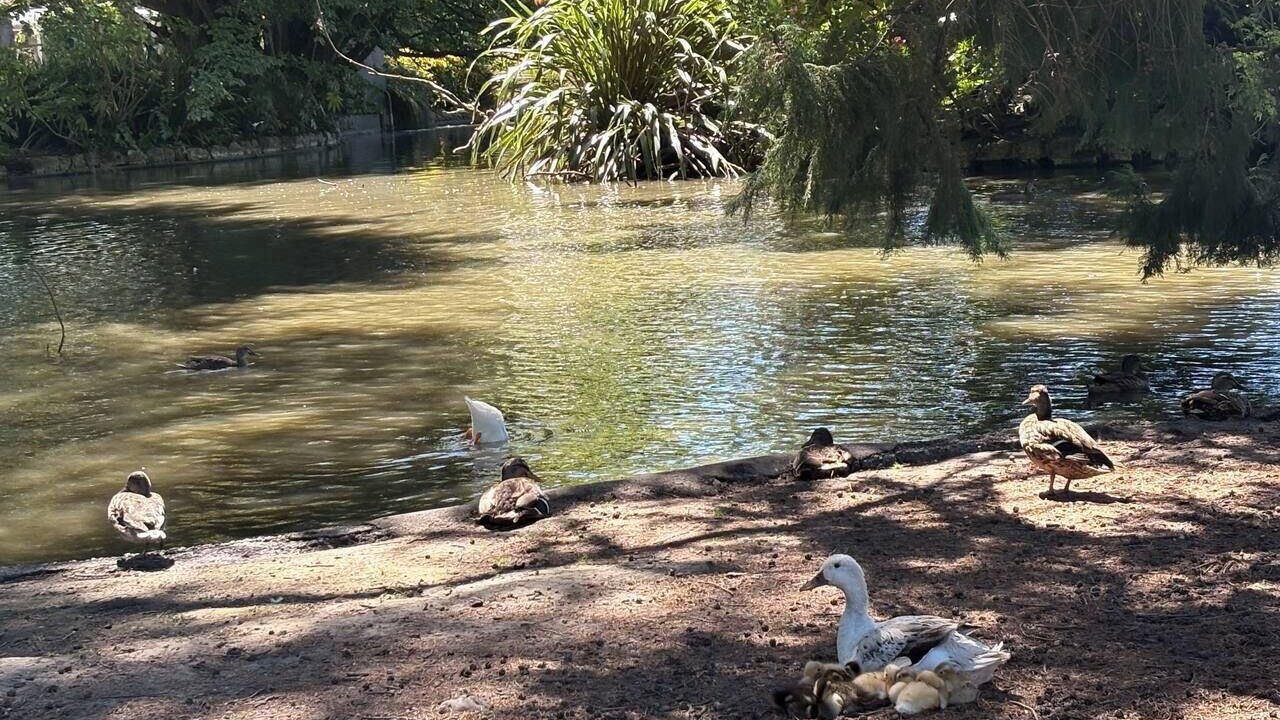 Photo of Others in Hastings