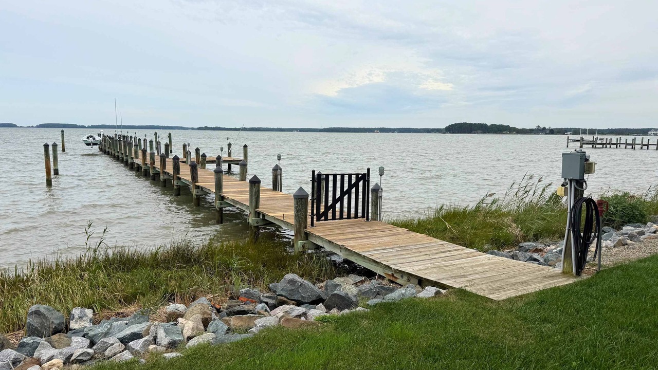 Photo of Others in Cambridge