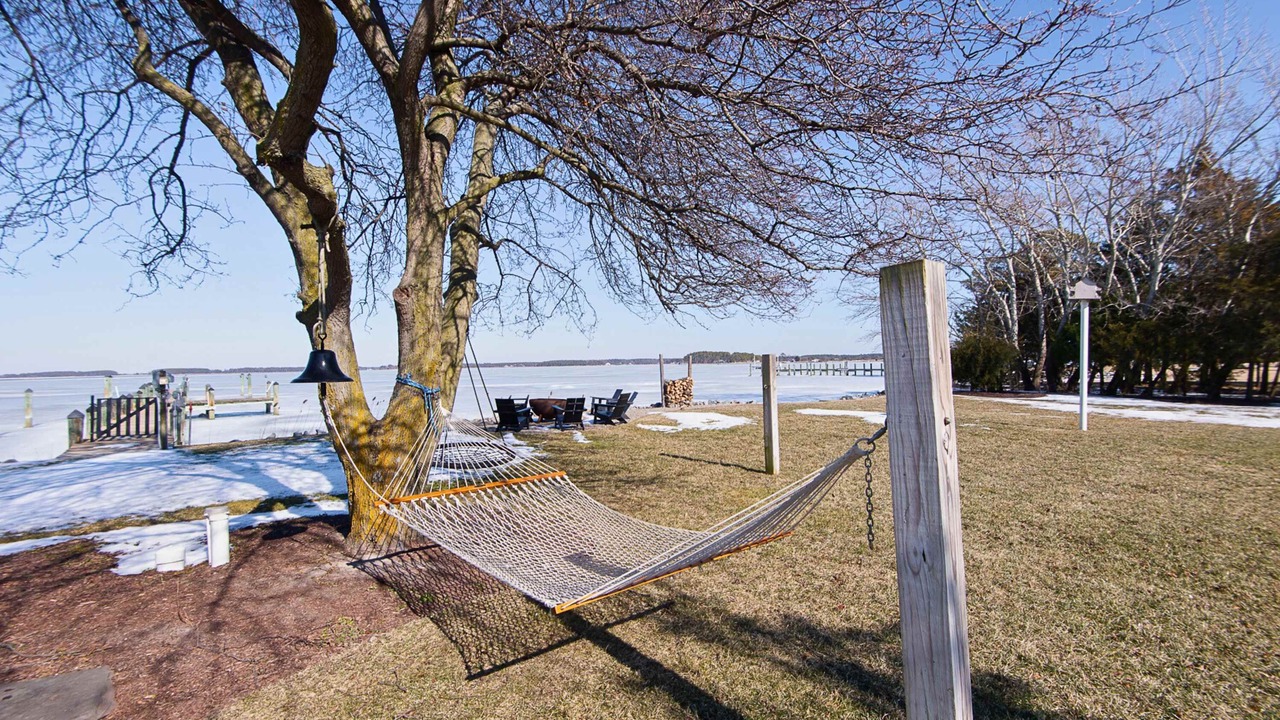 Photo of Outdoor in Cambridge