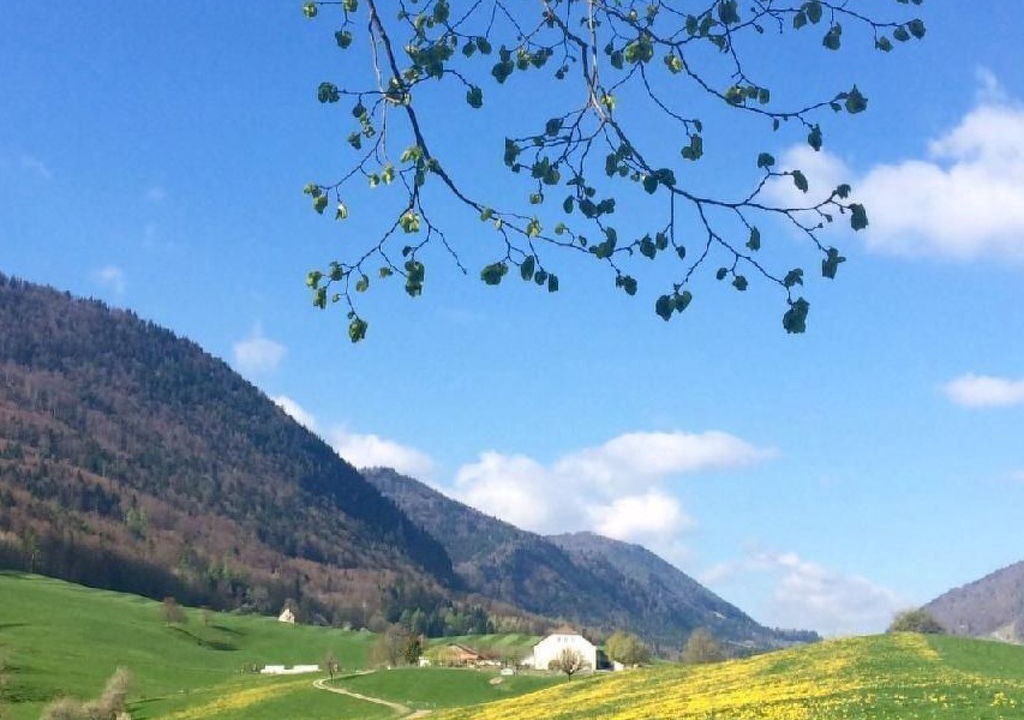 Photo of Others in Gansbrunnen