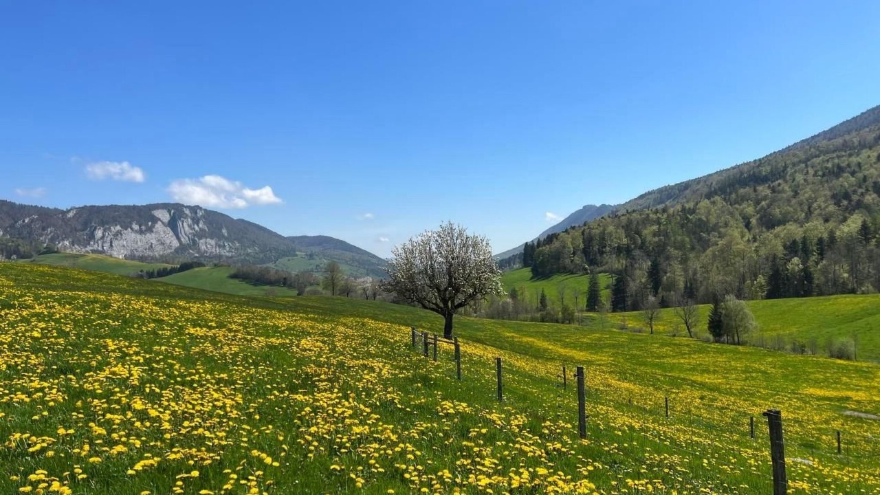 Photo of Others in Gansbrunnen