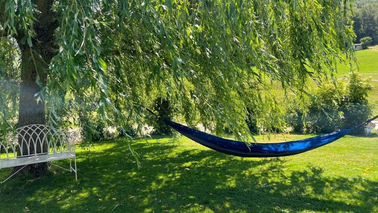 Photo of Others in Gansbrunnen