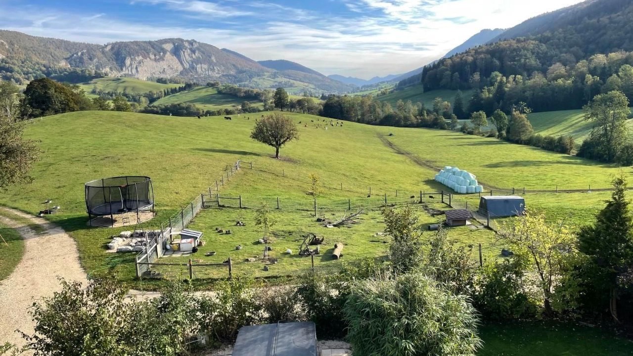 Photo of Others in Gansbrunnen