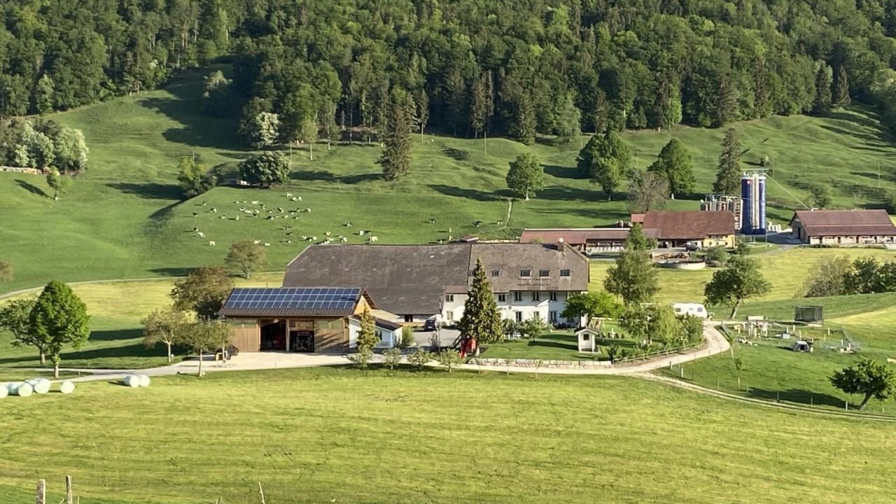 Photo of Others in Gansbrunnen
