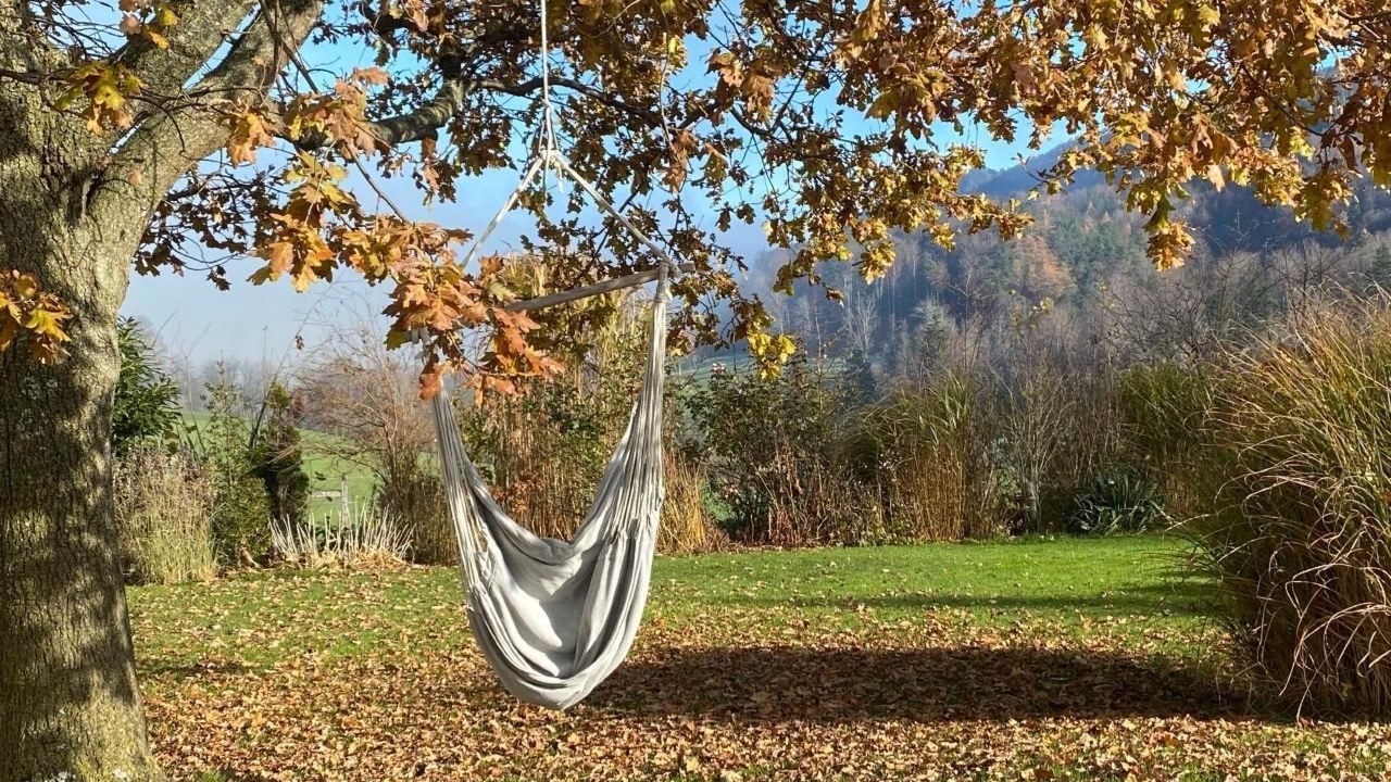 Photo of Others in Gansbrunnen