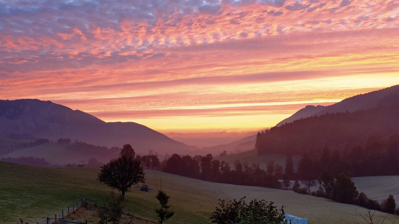 Photo of Others in Gansbrunnen