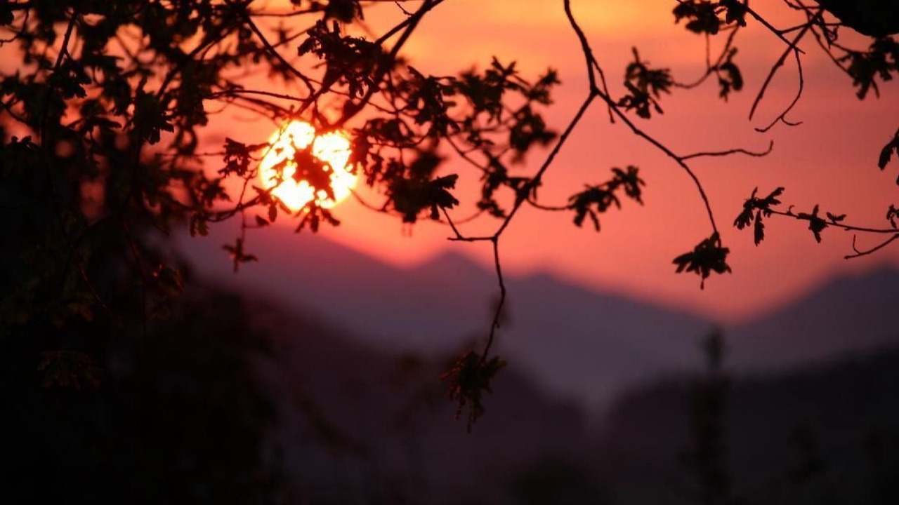 Photo of Others in Gansbrunnen