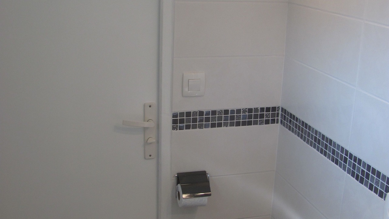 Photo of Bathroom in La Reorthe