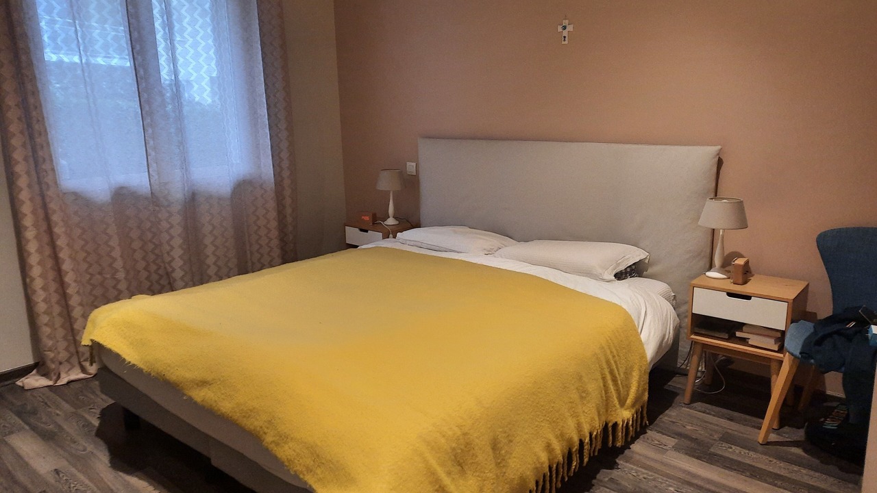 Photo of Bedroom in Seynod