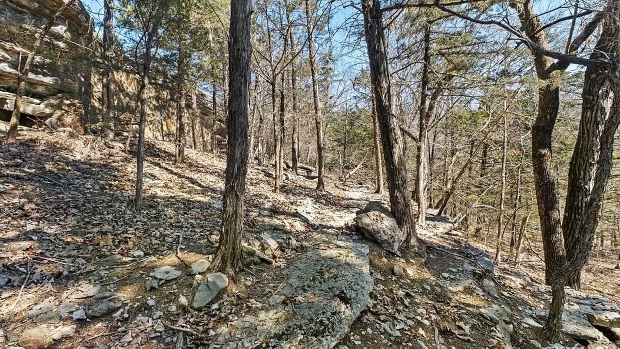 Photo of Outdoor in Garfield