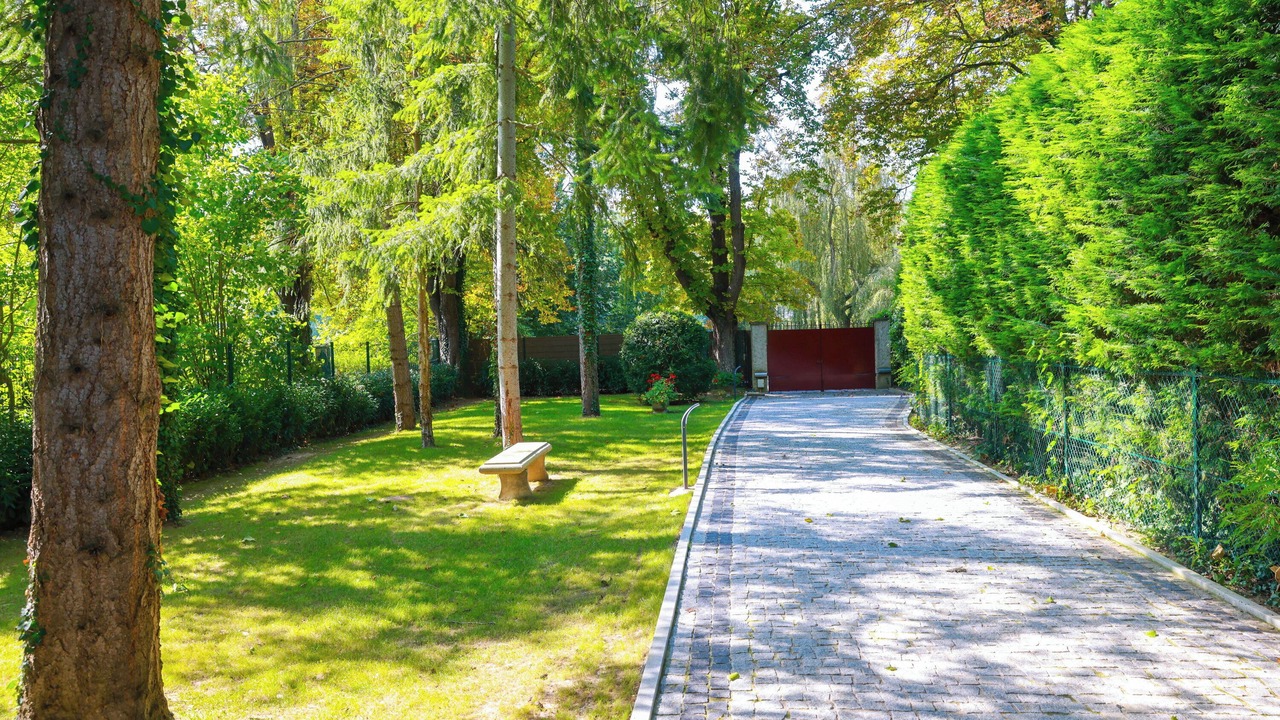 Photo of Outdoor in Samoreau