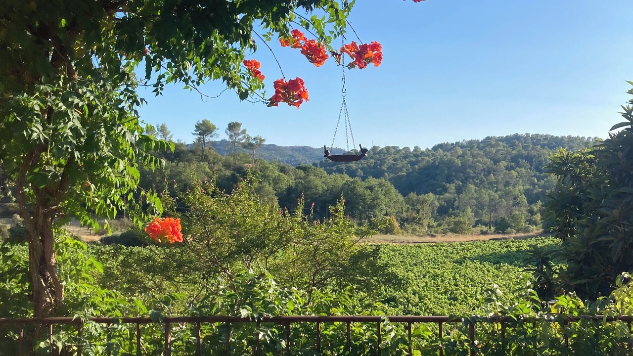 Photo of Outdoor in Tourves