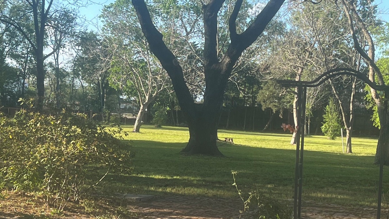Photo of Outdoor in Pasadena