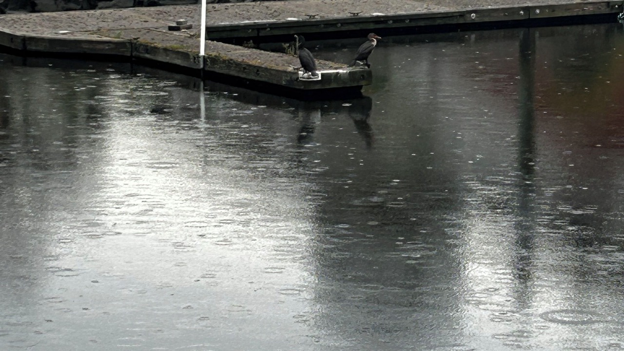 Photo of Others in Norwich