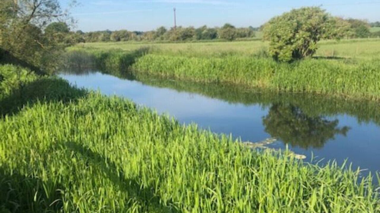 Photo of Others in Thurlby