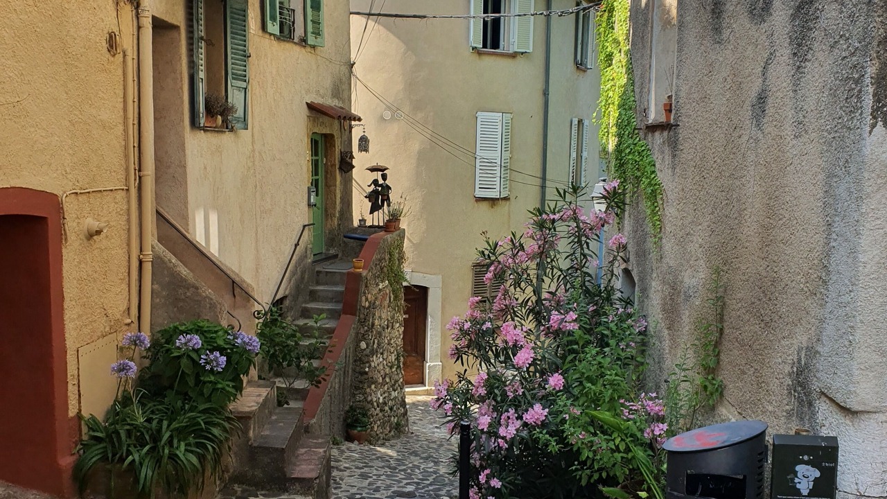 Photo of Outdoor in Biot