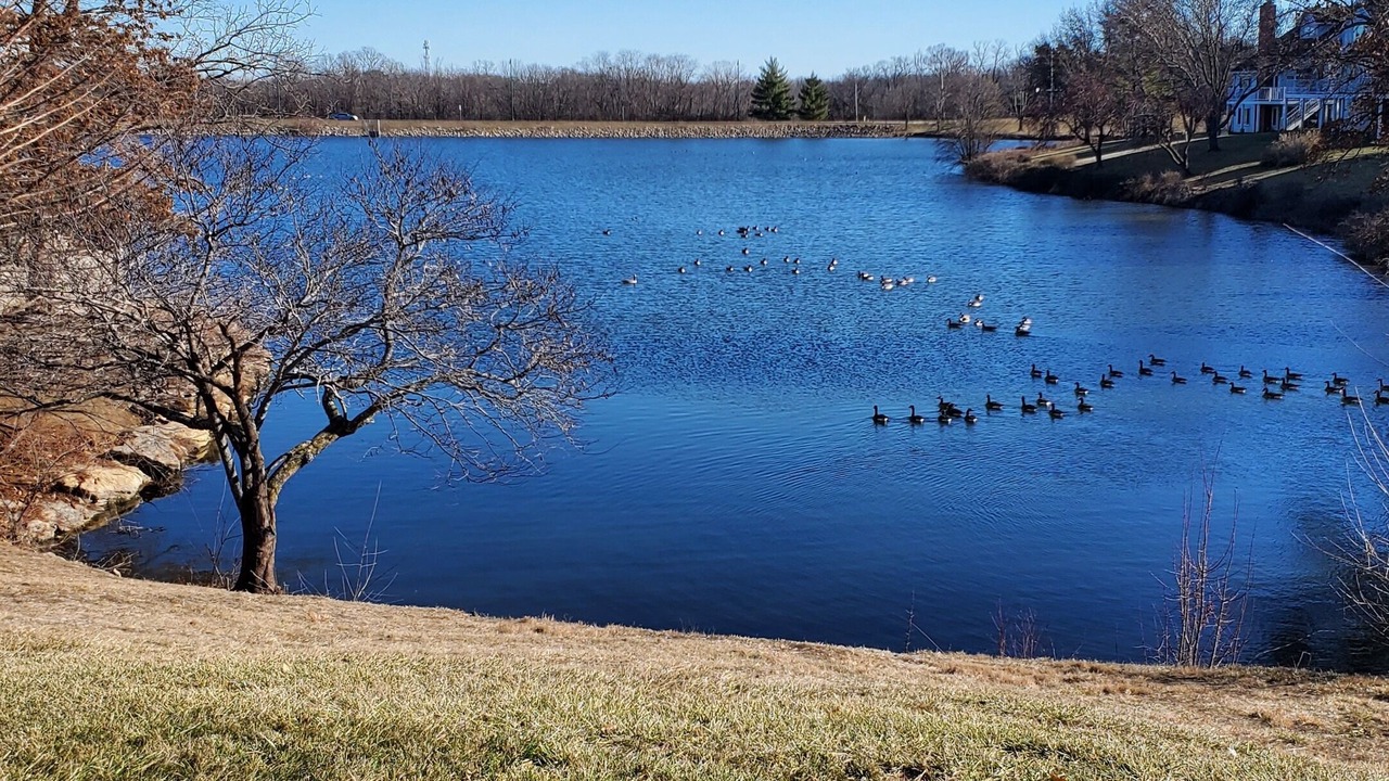 Photo of Outdoor in Blue Springs