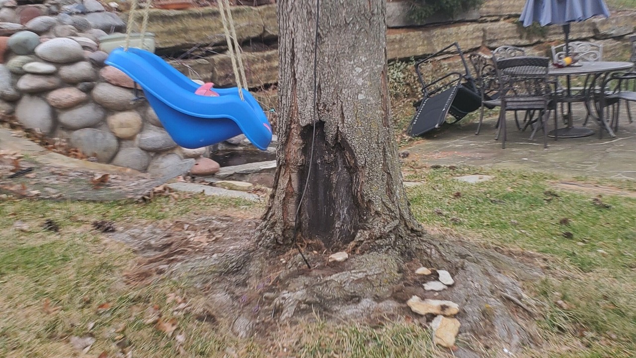 Photo of Others in Blue Springs
