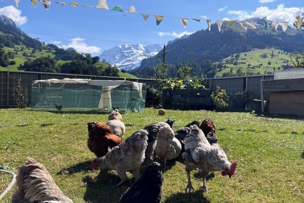 Photo of Others in Scharnachtal