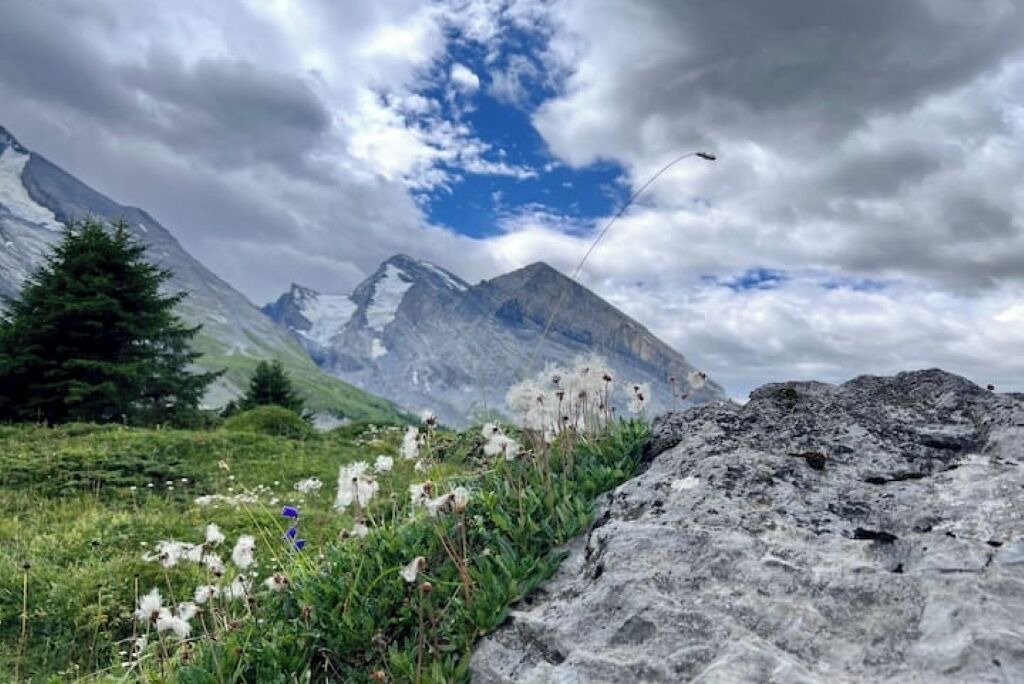 Photo of Others in Scharnachtal