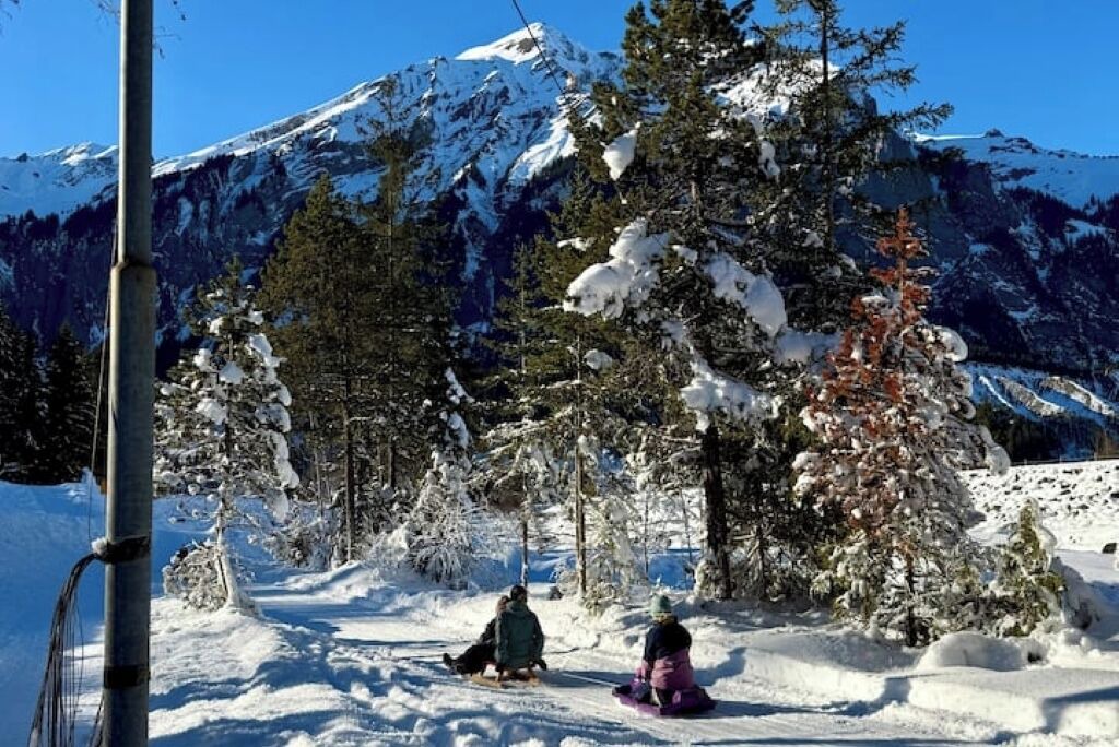 Photo of Others in Scharnachtal