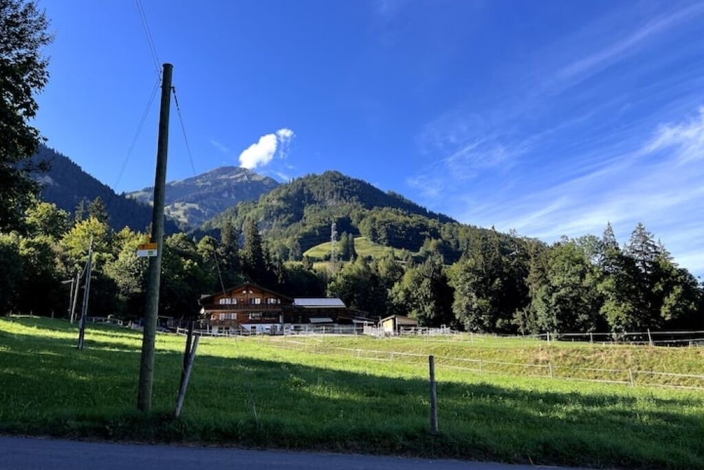 Photo of Others in Scharnachtal