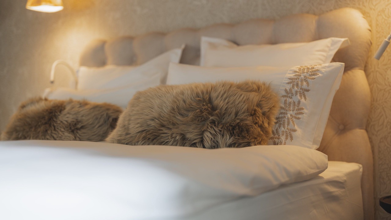 Photo of Bedroom in Riddes