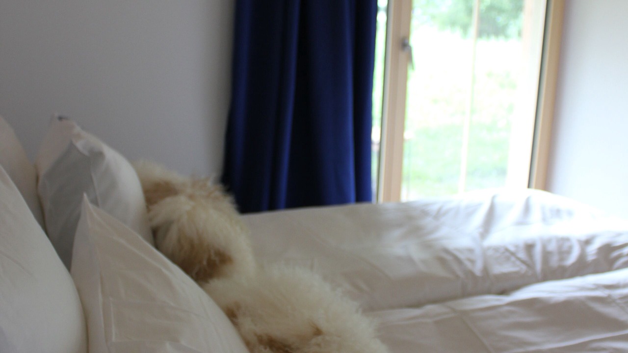 Photo of Bedroom in Riddes