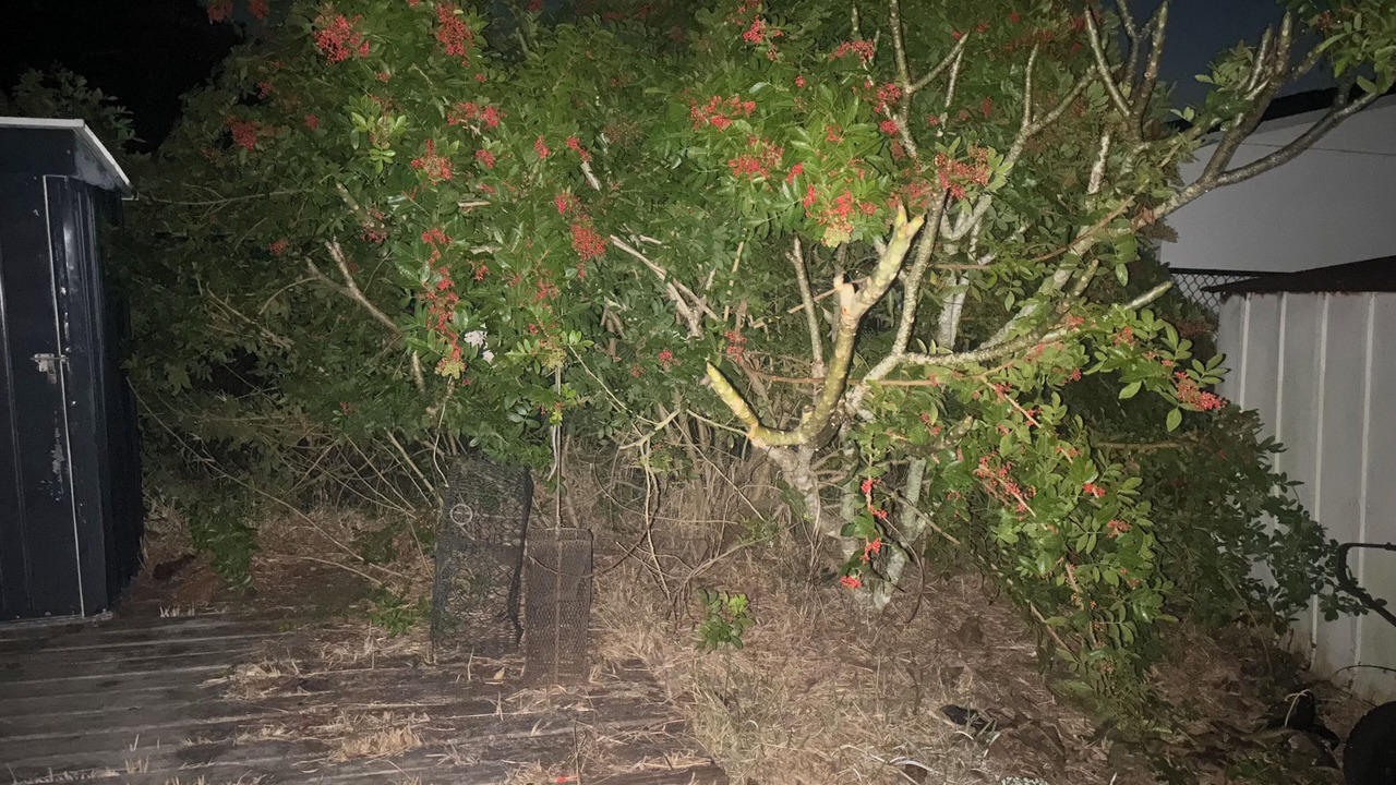 Photo of Outdoor in Fort Myers
