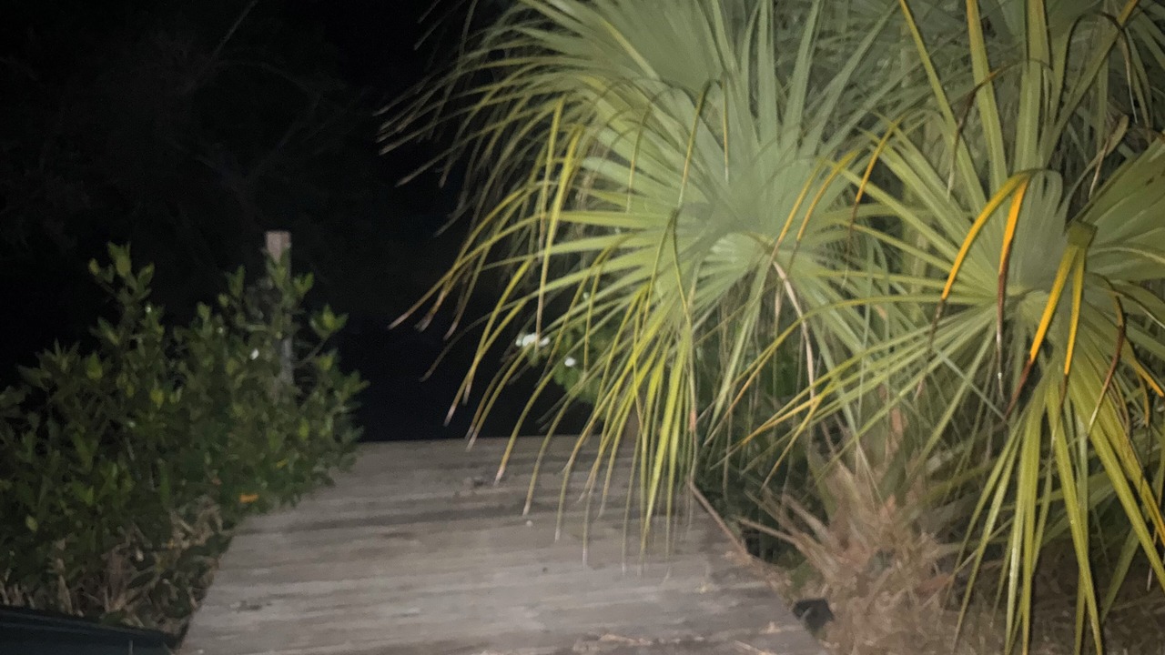 Photo of Outdoor in Fort Myers