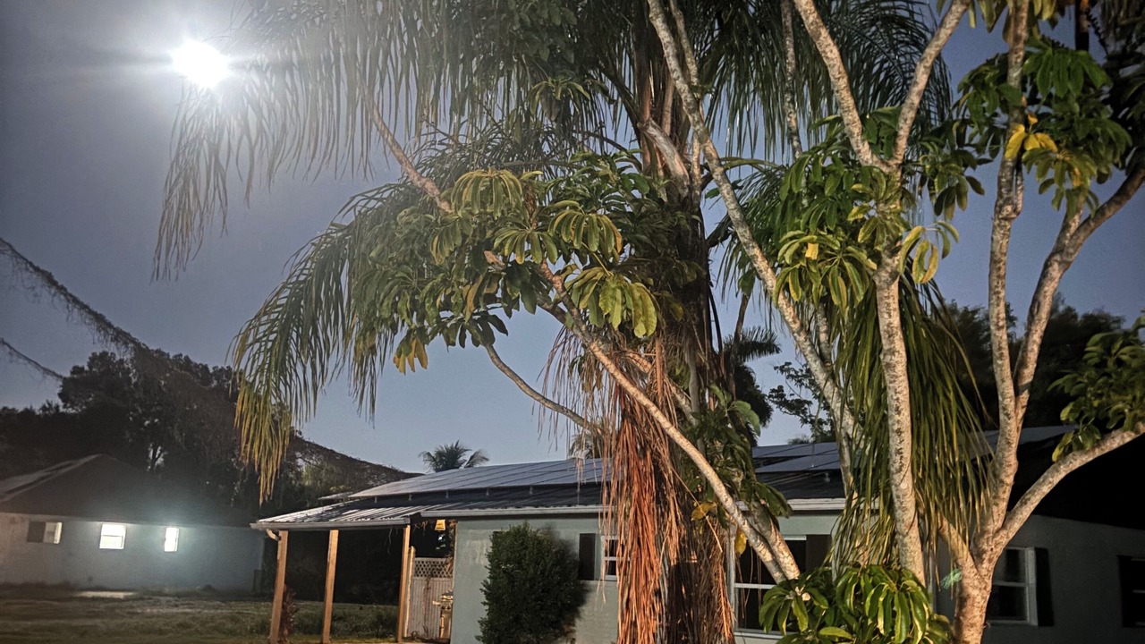 Photo of Outdoor in Fort Myers