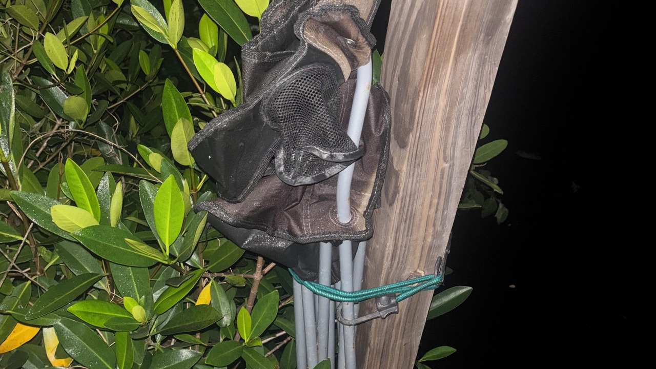 Photo of Others in Fort Myers