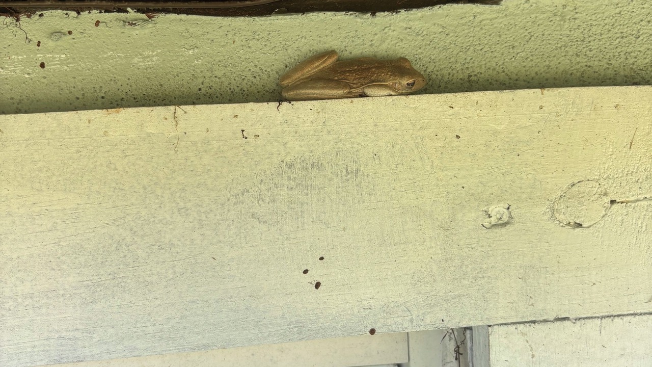 Photo of Outdoor in Fort Myers