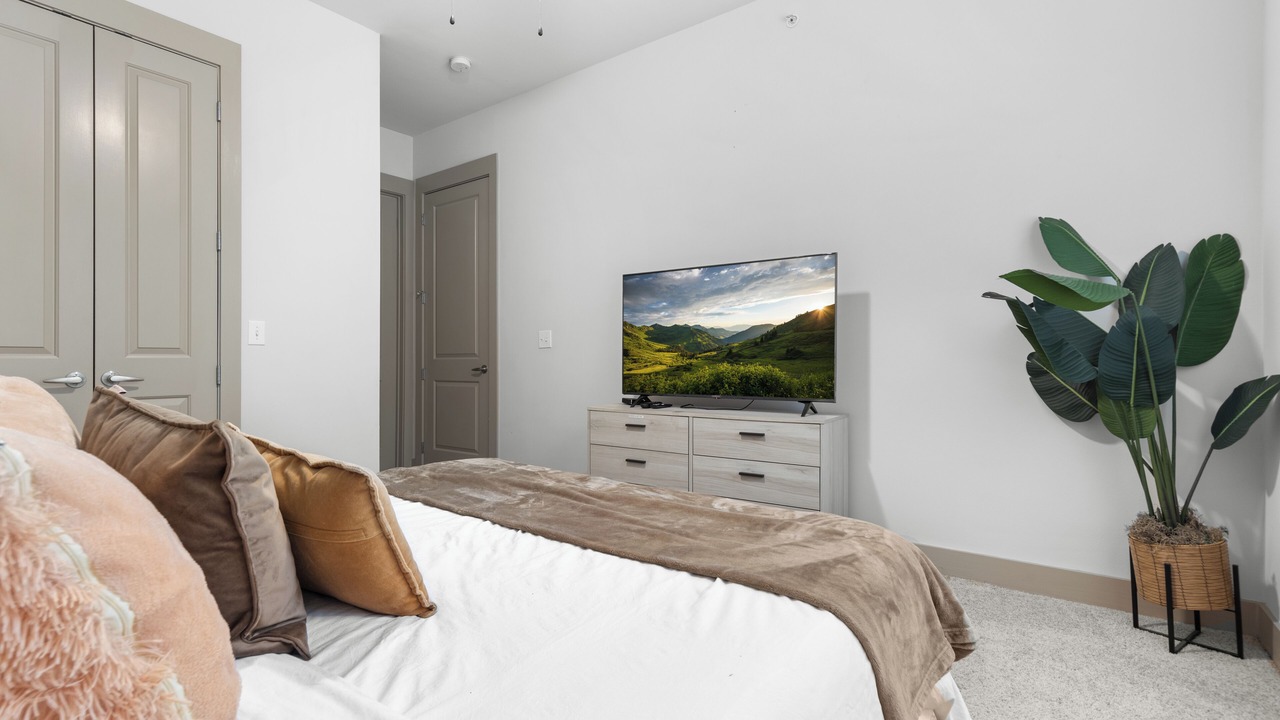 Photo of Bedroom in Montrose