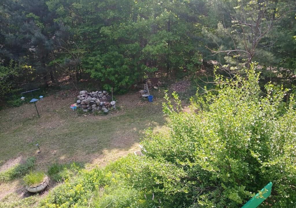 Photo of Outdoor in Chertsey