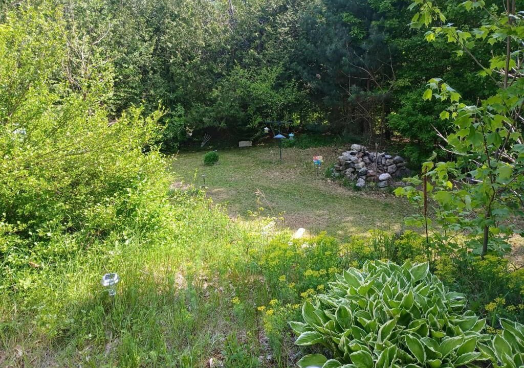 Photo of Outdoor in Chertsey