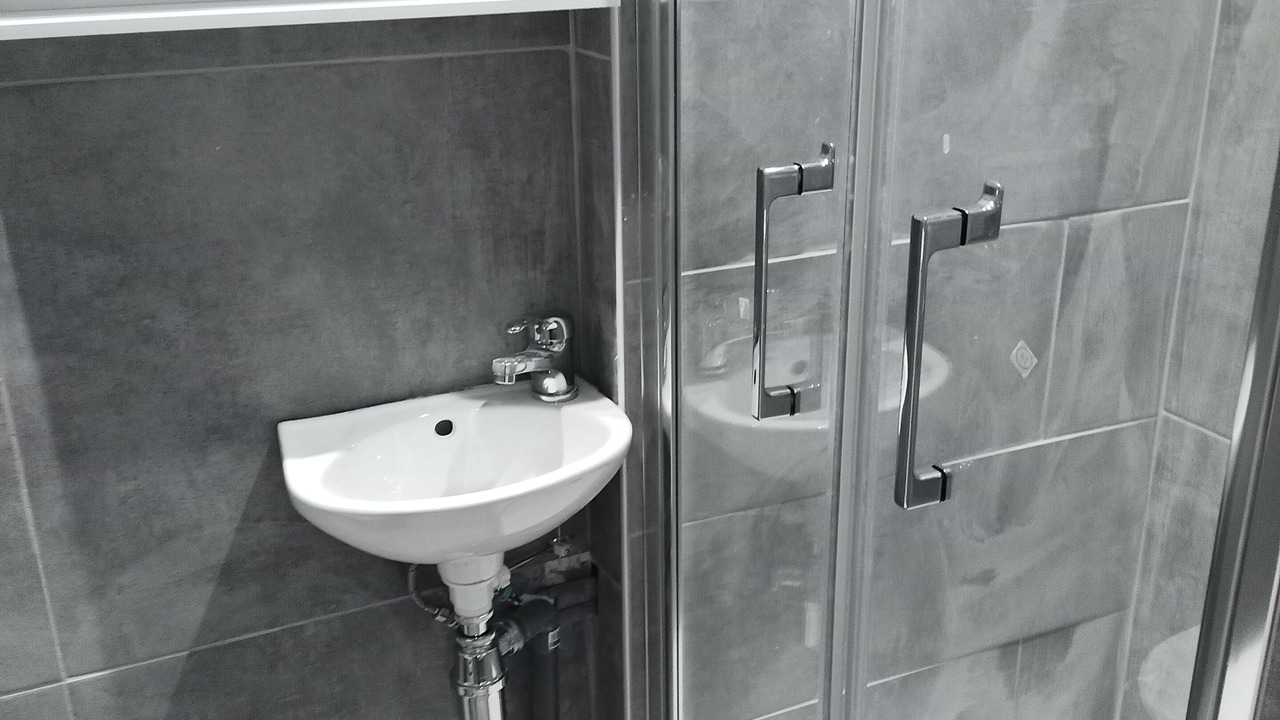 Photo of Bathroom in Pau Nord