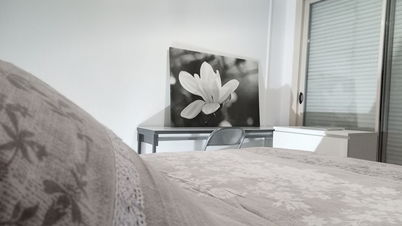 Photo of Bedroom in Pau Nord