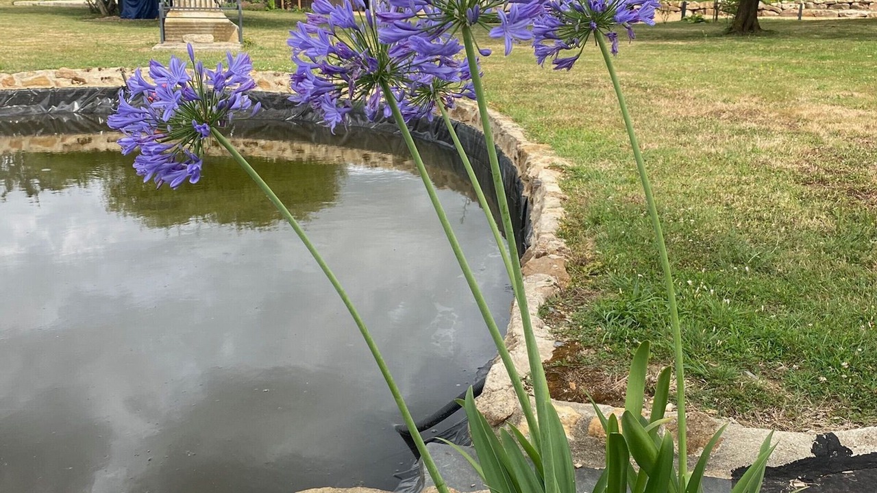 Photo of Outdoor in Le Vieil-Bauge
